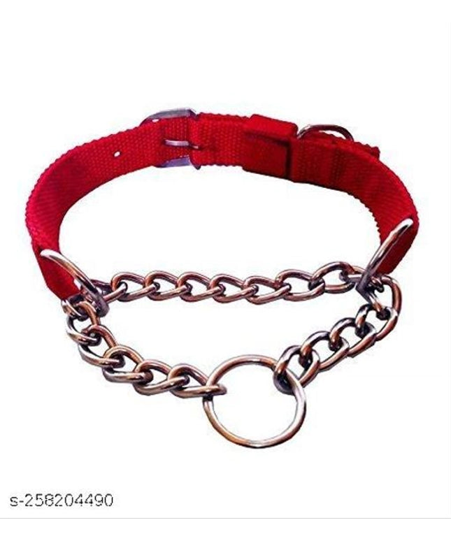 Neck Coller Chain for Pet (Multicolor, S)