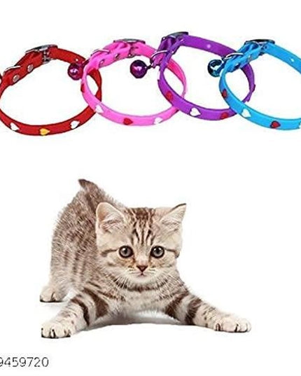 ABS Plastic Coller Belt for Pet (Multicolor, Pack of 2)