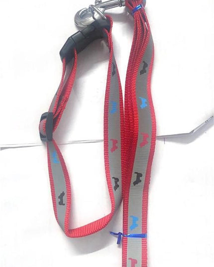 ABS Plastic Coller Belt with 5 Feet Leash for Pet (Multicolor, 1.25 inches) (Set of 1)