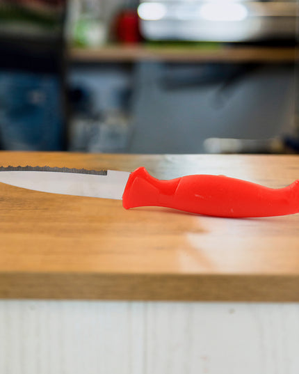 Stainless Steel Serrated Kitchen Knife (1 Pc)