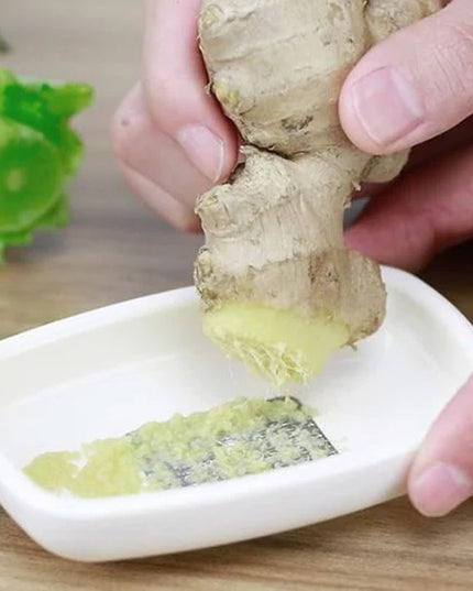 Multipurpose Garlic Ginger Grinding Plate (1 Pc)