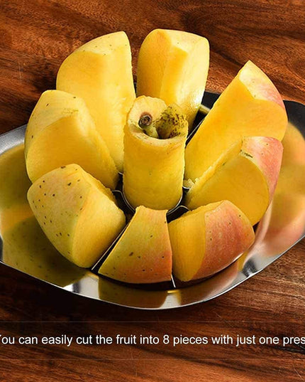 Heavy Duty Stainless Steel Apple Cutter  Slicer (1 Pc)