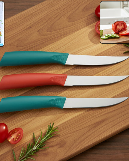 Multipurpose Stainless Steel Fruit Knife Set Of 3