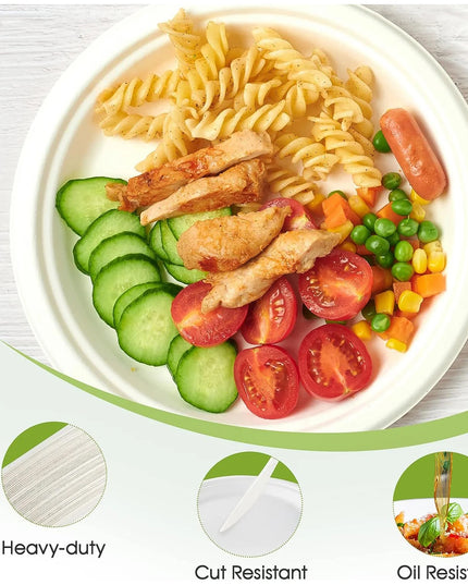 Vegnar Disposable Round Food Serving Plate (10 Pc)