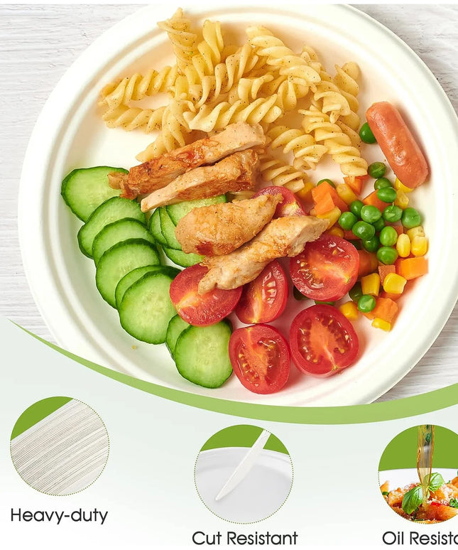 Vegnar Disposable Round Food Serving Plate (10 Pc)