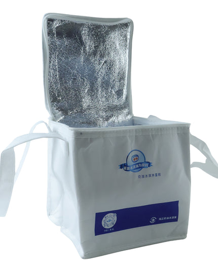 Insulated Thermal Lunch Bag (1 Pc 23x20 Cm)